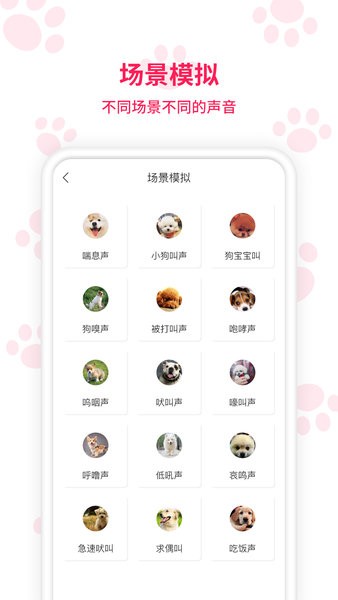 动物翻译器app专业版