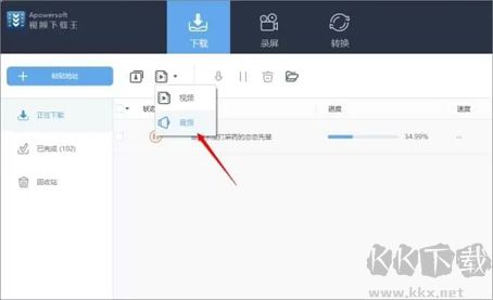 Apowersoft视频下载王