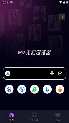 i浏览器app专业版