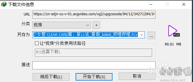 Internet Download Manager(IDM下载器)截图