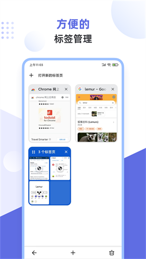 狐猴浏览器app手机版