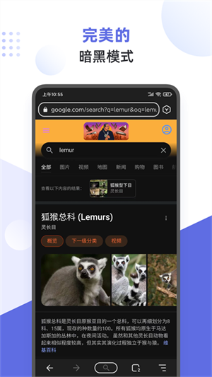 狐猴浏览器app手机版