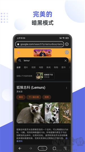 狐猴浏览器app手机版