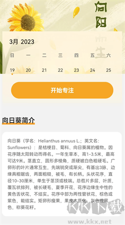 向阳流量app