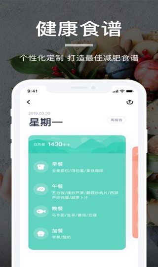 薄荷营养师app安卓版