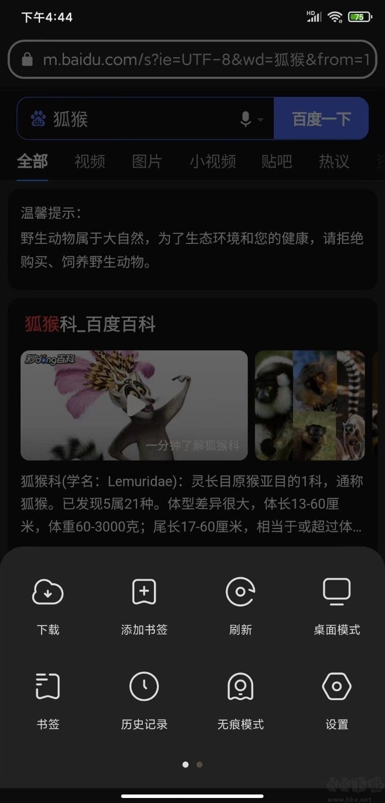 狐猴浏览器app官方新版本