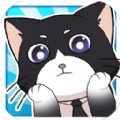 猫总大厦安卓版 v1.0.0官网版