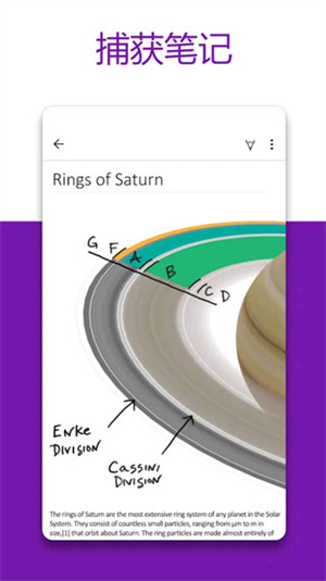 OneNote(云笔记记录软件)