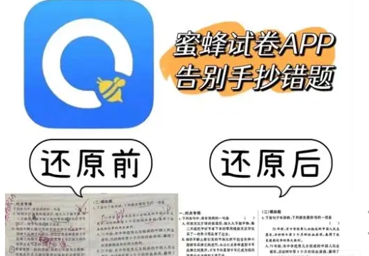 蜜蜂试卷app软件全部版本合集-蜜蜂试卷app实用版本推荐-蜜蜂试卷最新版/安卓版/无广告版