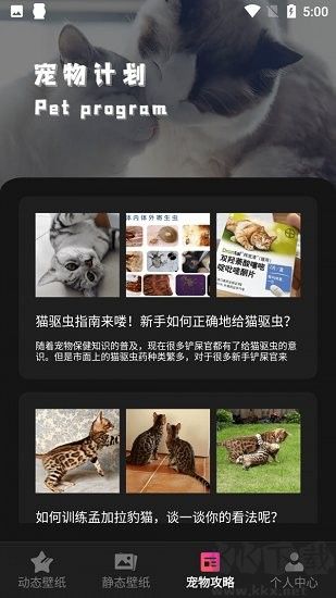 猫咪壁纸app最新版