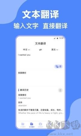 deepl英译汉正式版