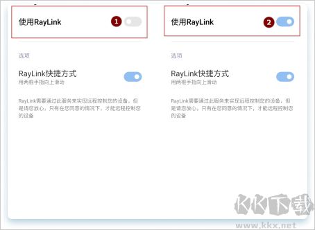 raylink远程控制手机版