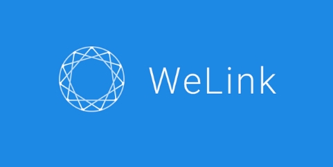 WeLink各种版本合集-WeLink热门必备版本推荐-WeLink全部版本大全