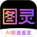 图灵鉴定官方正版 v2.4.30