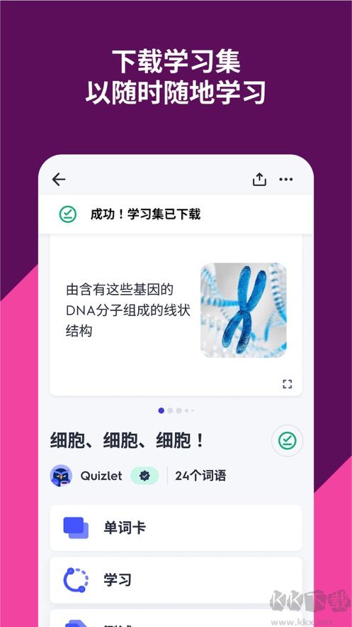 quizlet安卓版