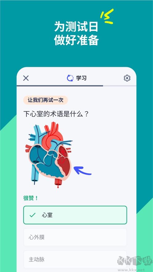 quizlet安卓版