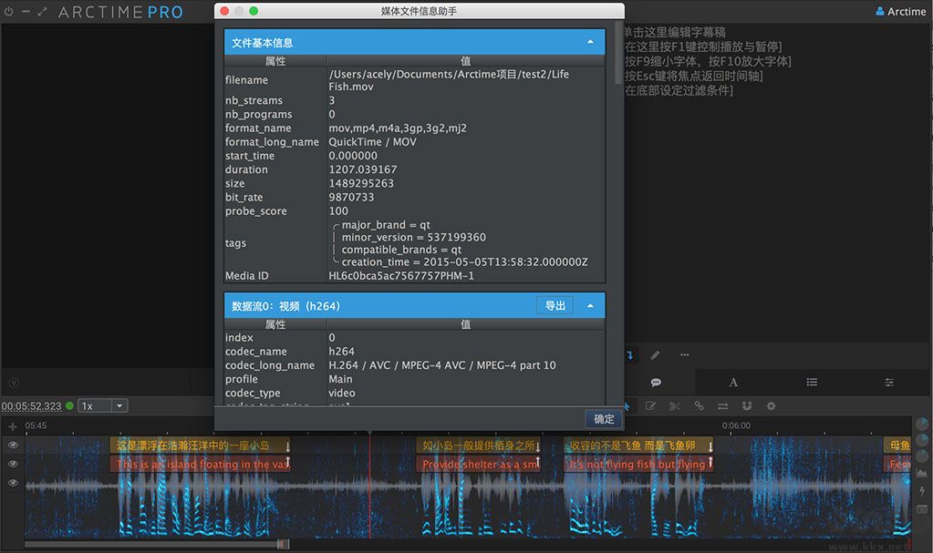 ARCTIME_PRO(在线字幕编辑软件)