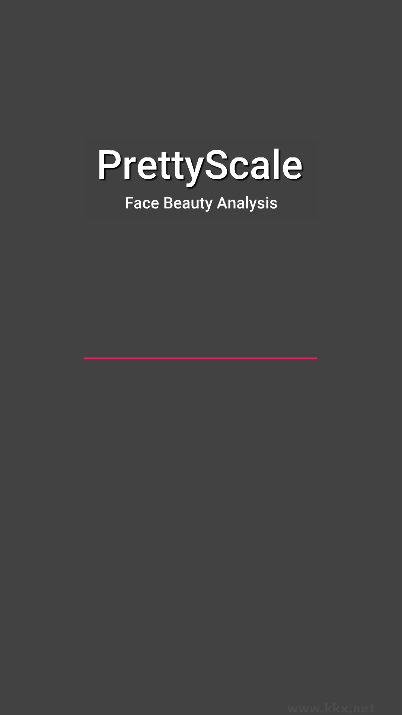 pretty scale绿色版