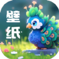 孔雀壁纸app安卓版v1.0.0