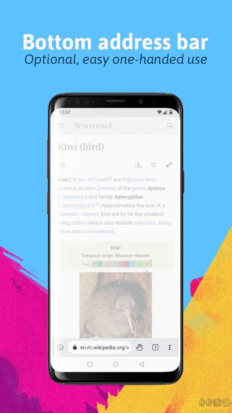 kiwibrowser浏览器安卓版